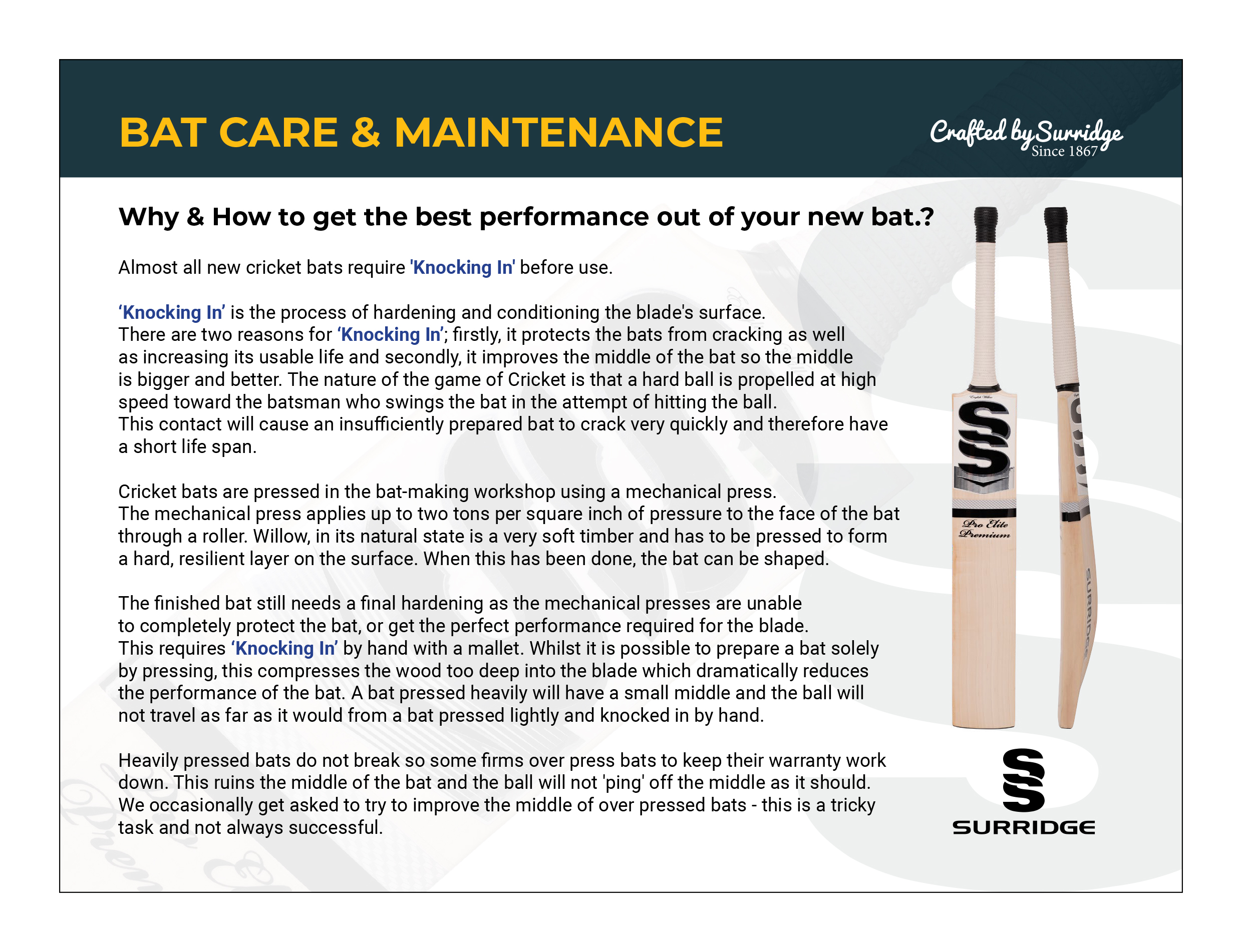 GRADE 1 CURVE ENGLISH WILLOW CRICKET BATS Glasgow Pole Vault School